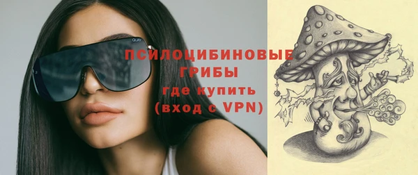 меф Дмитриев