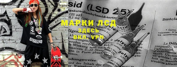 ПСИЛОЦИБИНОВЫЕ ГРИБЫ Переславль-Залесский