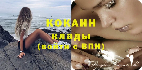 меф Дмитриев