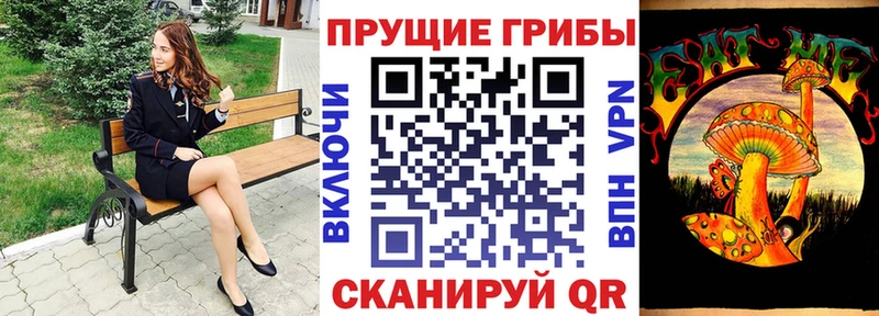 Купить где  Краснослободск  Псилоцибиновые грибы ЛСД 